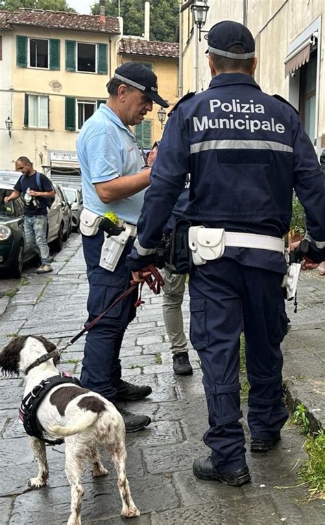 Via Palazzuolo Ritirata Licenza A Un Bar Per Ordine Pubblico Residenti