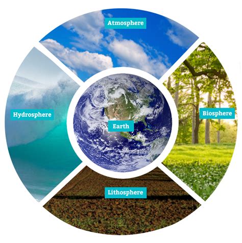 Feedback Loops In The Earth System