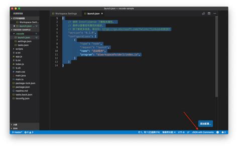 Vscode 支持json 极客教程