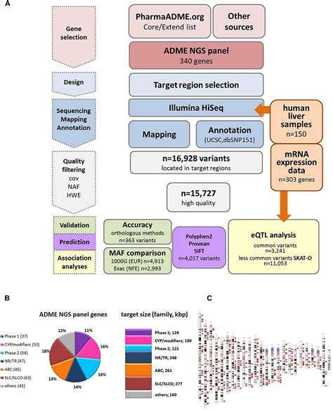 Frontiers A New Panel Based Next Generation Sequencing Method For