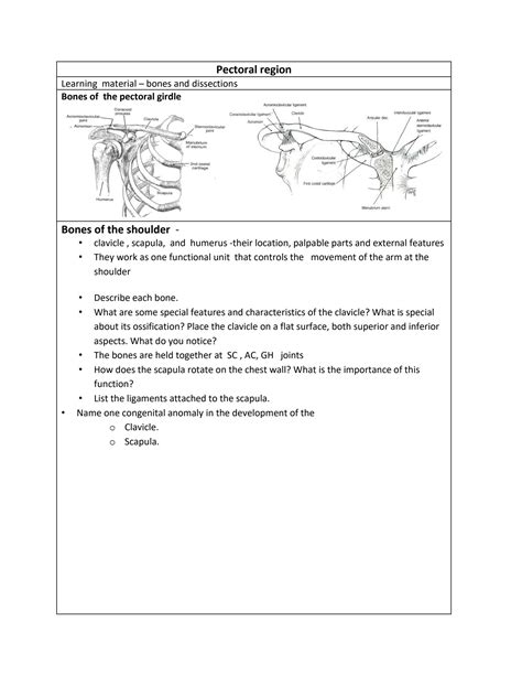 SOLUTION: Pectoral region - Studypool