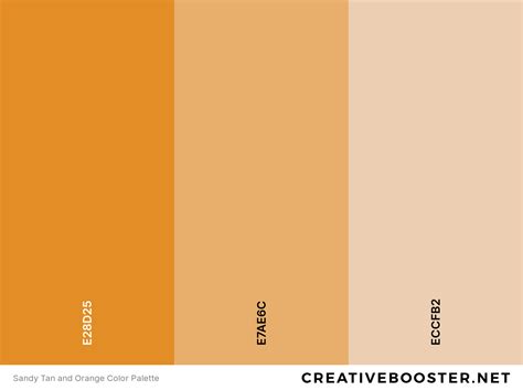 25 Best Colors That Go With Orange Color Palettes Creativebooster