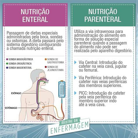 Nutrición Enteral y Parenteral PDF Nutrición Dieta y nutrición