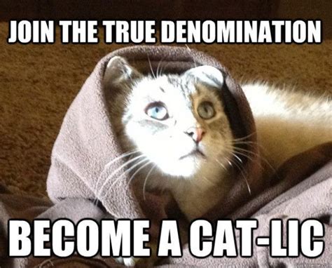 Biblical Moments If Jesus Was A Cat 14 Pics