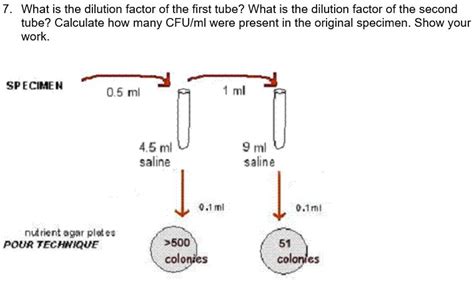 SOLVED What Is The Dilution Factor Of The First Tube What Is The