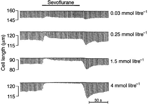 Inotropic Effects Of A Range Of Concentrations Of Sevoflurane Slow