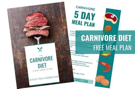 21 Best Keto Carnivore Recipes To Try For Beginners