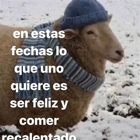 Los Mejores Memes Del Recalentado De La Cena De Navidad Y El Frío En México Infobae