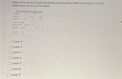 Solved Which Lane Shows A Single Nucleotide Polymorphism Chegg