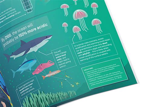 Infographic Ocean acidification | Science communication & Graphic design