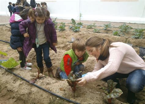 Realización De Los Talleres De Educación Ambiental Para Infantil En