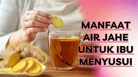 5 Manfaat Minum Air Jahe Untuk Ibu Menyusui Youtube