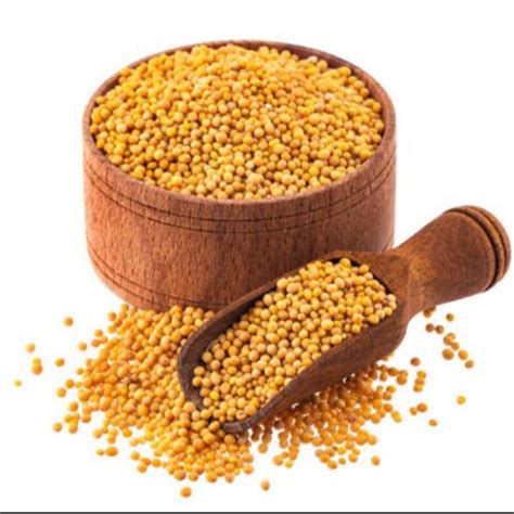 Jual Yellow Mustard Seed Biji Sawi Gram Shopee Indonesia