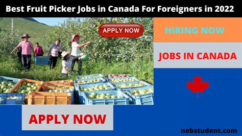 Best Fruit Picker Jobs In Canada For Foreigners In Apply Now