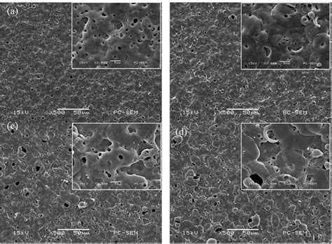 Figure 1 From Corrosion Behavior And Structure Of Plasma Electrolytic