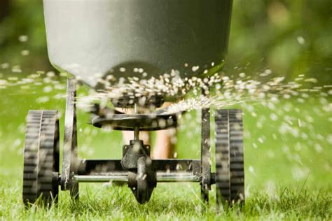 How When To Fertilize A Lawn Kellogg Garden Organics