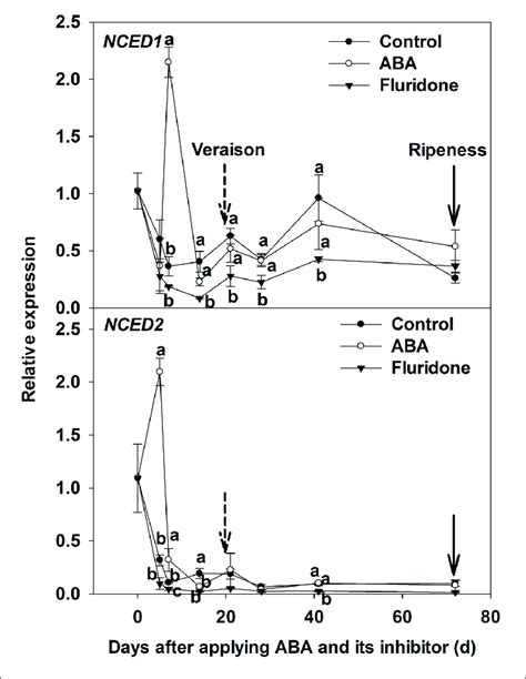 Expression Of Genes Nced1 And Nced2 Related To Aba Synthesis In Berry Download Scientific