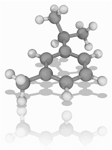 Cymene Organic Compound Molecule Photograph By Laguna Designscience