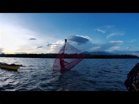 Dumagsa Na Ulit Ang Hipon O Alamang Sa Sorsogon Bay May Makukuha Kaya