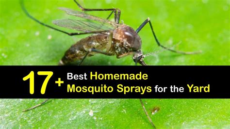 DIY Mosquito Sprays - Make Your Own Mosquito Repellent