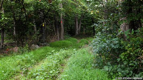 Catoctin Mountain Park Orange Trail North Loop Hike