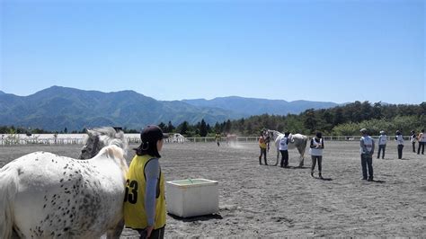 春季八ヶ岳エンデュランス大会 カナディアンキャンプ八ヶ岳 最新情報 カナディアンキャンプ乗馬クラブ 福岡・八ヶ岳・北海道での乗馬