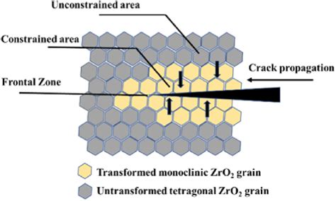 Schematic Illustration Of Stress Induced Phase Transformation