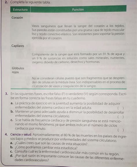 completa La siguiente tabla estructura y función corazón capilares