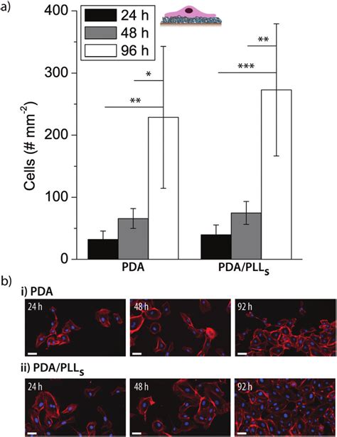 Endothelial Cell Adhesion A Number Of Cells Per Area Adhering To Pda