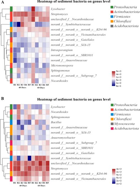 Species Abundance Cluster Heatmap Of Sediment Bacteria After The Download Scientific Diagram