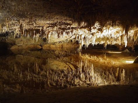 9 Caverns In Virginia That You Can Visit Practical Info Map