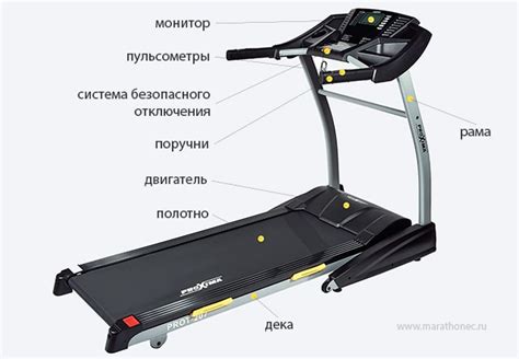 Как правильно выбрать беговую дорожку для дома - RUNIRON