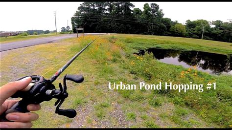 Pond Hopping In Arkansas 1 Largemouth Bass Youtube