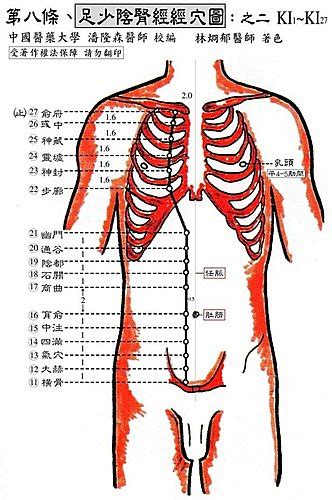 199 “腎經”常用穴道，有哪幾個 ★針灸潘願為中、西、牙醫師、民俗調理人員與民眾講解針灸、經穴、指壓、刮痧、拔罐與常見病症的臨床