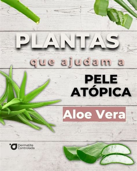 Aloe Vera Plantas Que Ajidam A Pele Atopicaa