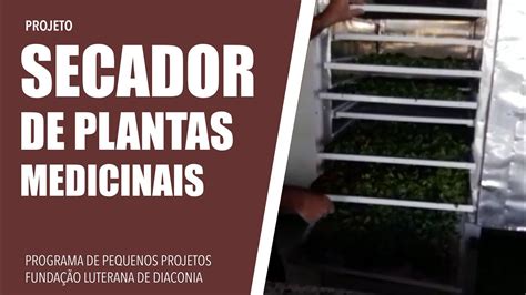 Projeto Secador De Plantas Medicinais Youtube