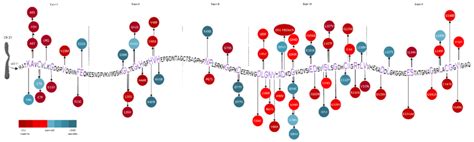 Representation Of Sod Mutations With Different Prognostic Impacts