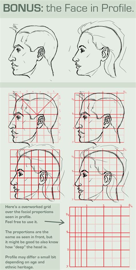 Face Proportions: PROFILE VIEW by FOERVRAENGD.deviantart.com | Face ...