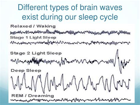 Ppt Sleep Powerpoint Presentation Free Download Id5192876