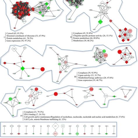 Proteomic Analysis Of T Cell Derived Exosomes A Venn Diagram Of