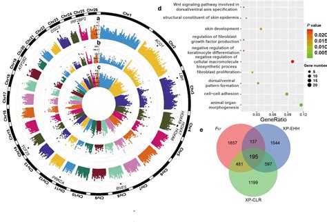 Figure From Whole Genome Resequencing Reveals Genetic Diversity And