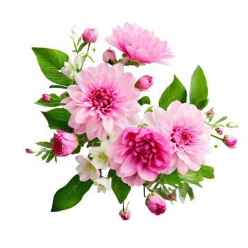 A Bunch Of Pink Dahlia Flowers With Green Leaves A Bunch Of Pink