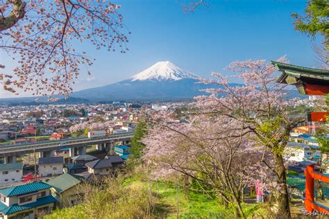 新倉山浅間公園に行くなら富士山の残雪と桜がコラボする4月が絶景を見るチャンス ドライブ旅のみちしるべ