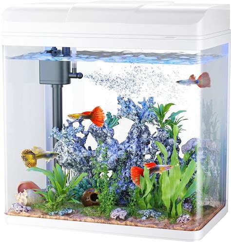 Amazon Pondon Fish Tank Gallon Glass Aquarium With Air Pump