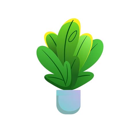 Premium Vector House Plant In A Pot Vector House Flower With Big