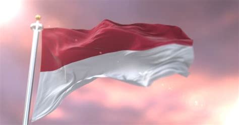 Detail Video Bendera Merah Putih Berkibar Koleksi Nomer