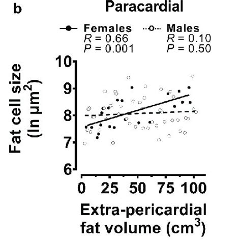 Univariable Correlations Of Fat Cell Sizes With Body Mass Index Bmi