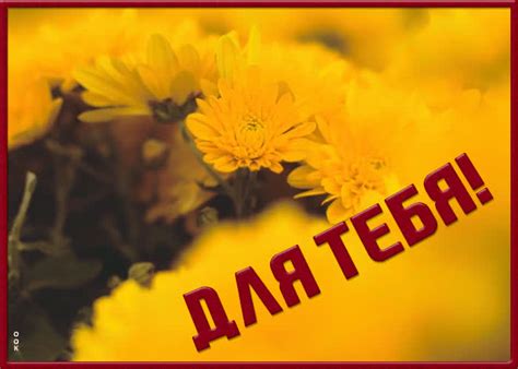 Открытка с желтыми цветами | Открытки Онлайн
