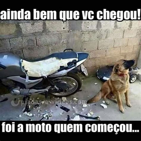 Fotos Engra Adas De Animais Memes Eu Amo Anime Cenas Engra Adas Animes