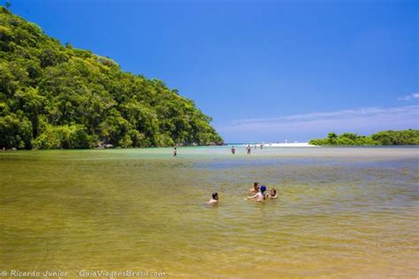 Praia De Puruba Ubatuba O Que Saber Antes De Ir Fotos E Dicas Que